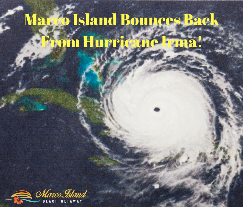 Hurricane Irma|Marco Island Beach Getaway
