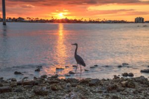 The Complete List of Things to Do on Marco Island Once You Arrive